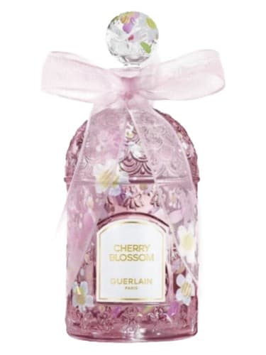Cherry Blossom Millesime 2025 2025