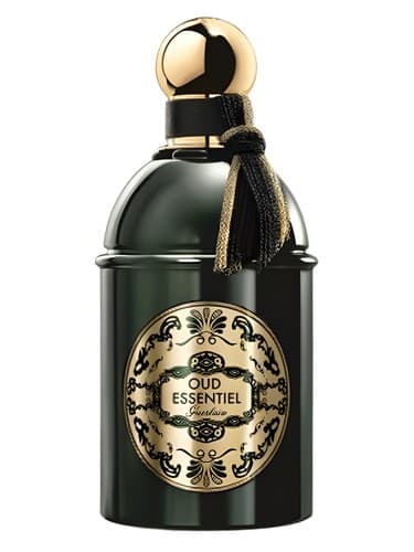 Les Absolus d'Orient Oud Essentiel