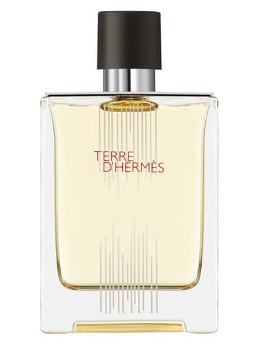 Terre d'Hermes Flacon H 2021 Eau de Toilette