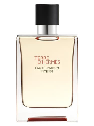Terre d'Hermes Intense