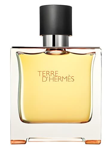 Terre d'Hermes Parfum