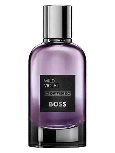 The Collection Wild Violet