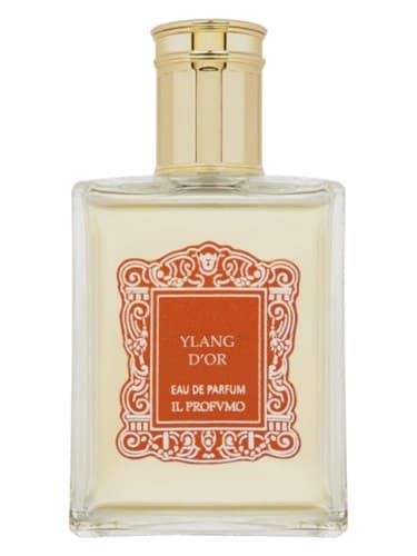 Ylang D'Or