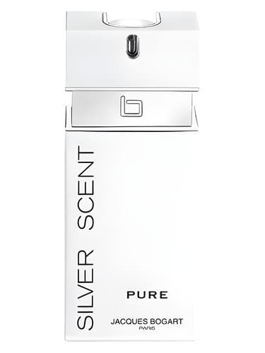 Silver Scent Pure