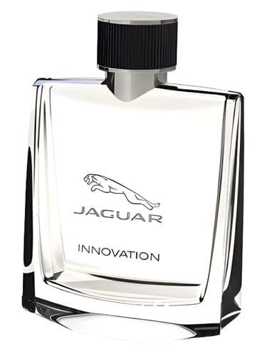 Jaguar Innovation