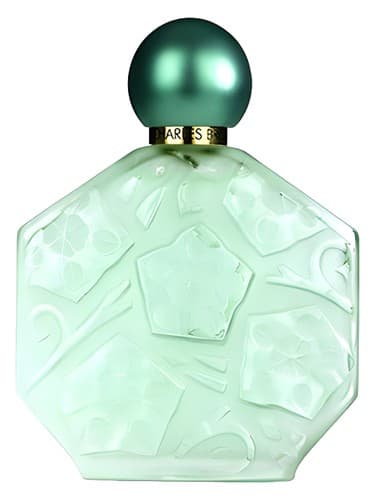 Fleurs d'Ombre/Jasmin Lilas