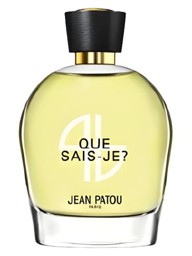 Collection Heritage Que Sais-Je?