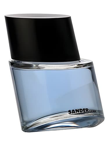 Sander for Men