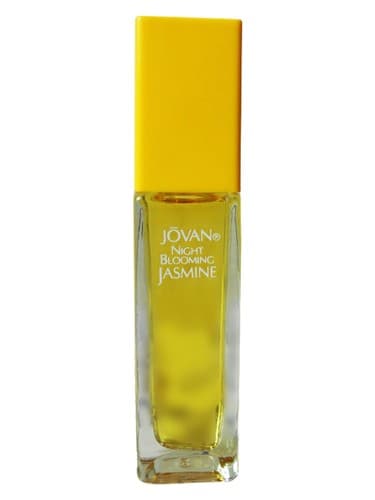 Night Blooming Jasmine