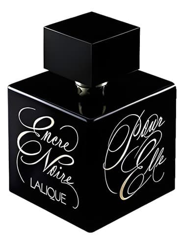 Encre Noire Pour Elle