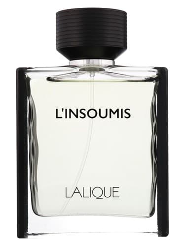 L'Insoumis