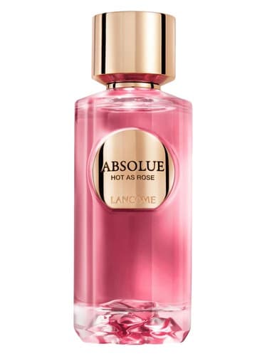 Absolue Hot As Rose