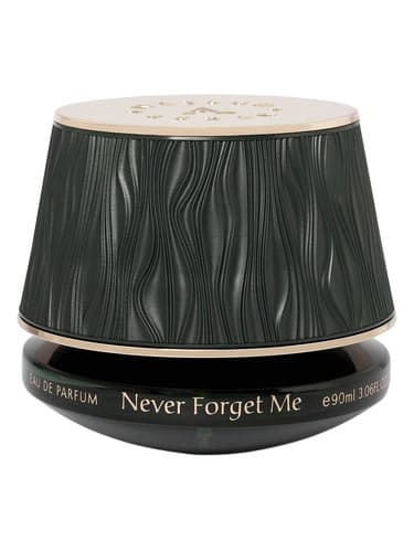 Never Forget Me