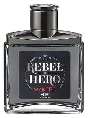 Rebel Hero Wanted