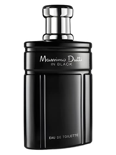 Massimo Dutti In Black