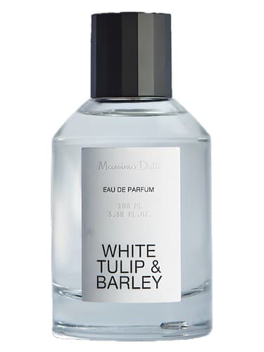 White Tulip & Barley