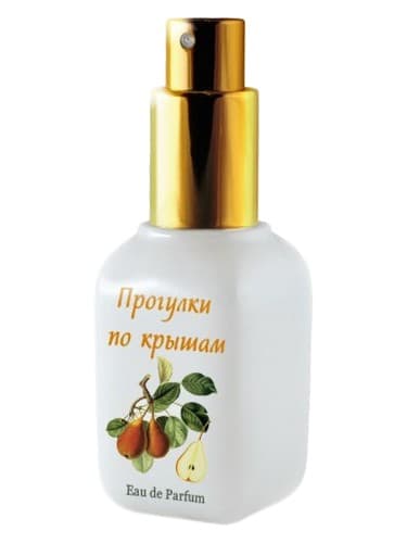 Rooftop Walks (Прогулки По Крышам)