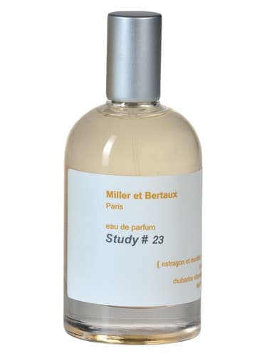 Study No. 23 / Newsletter