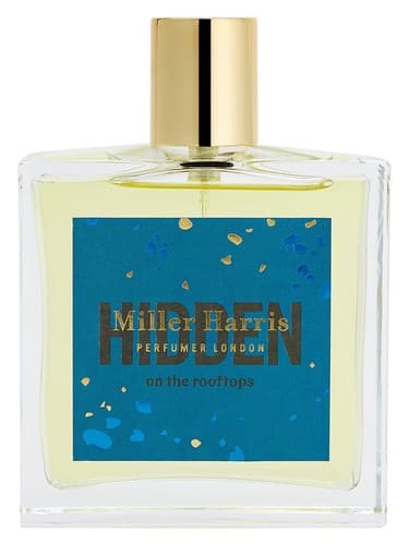 Hidden on the Rooftops