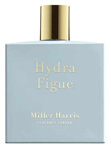 Hydra Figue