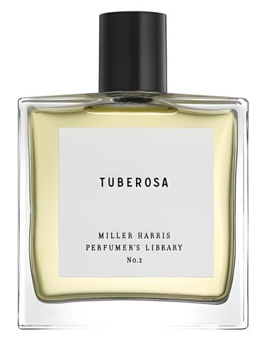 Tuberosa