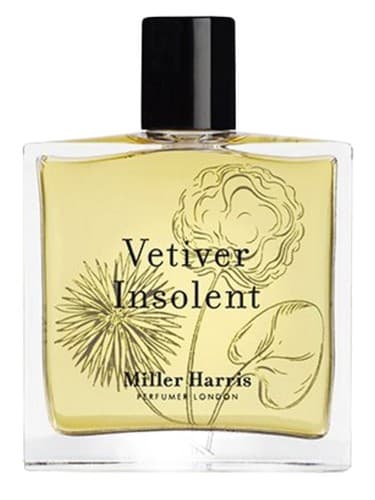 Vetiver Insolent