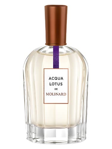 Acqua Lotus