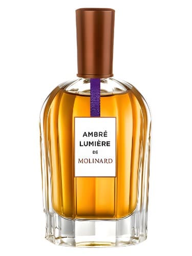 Ambre Lumiere