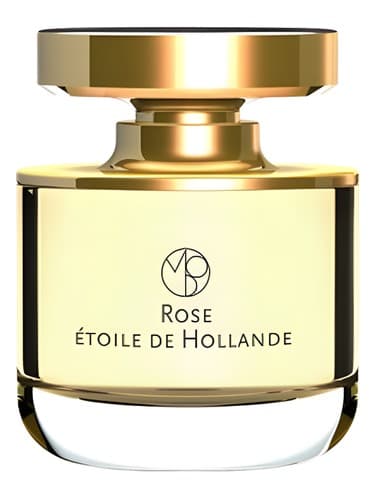 Rose Etoile de Hollande