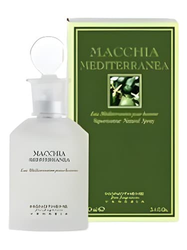 Macchia Mediterranea
