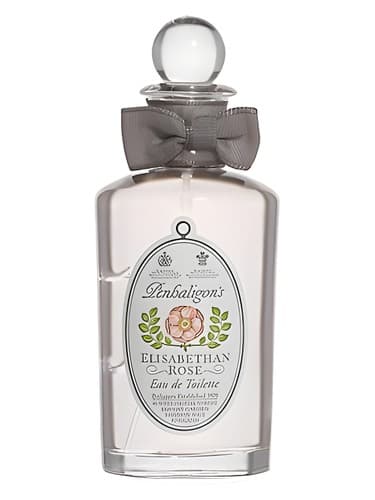 Elisabethan Rose-Vintage