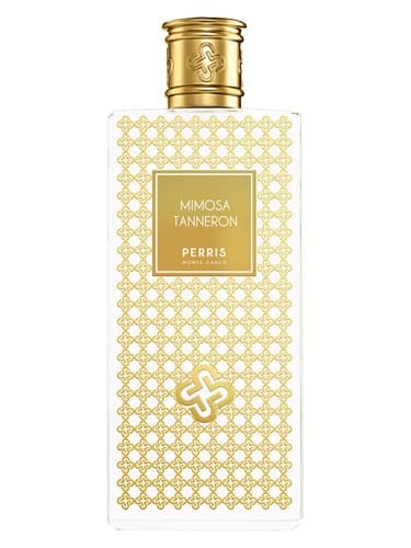 Mimosa Tanneron