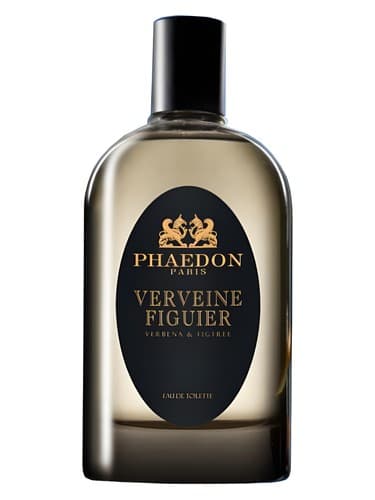 Verveine Figuier