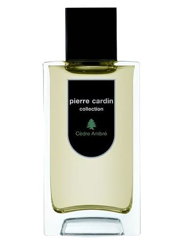 Pierre Cardin Collection Cedre-Ambre