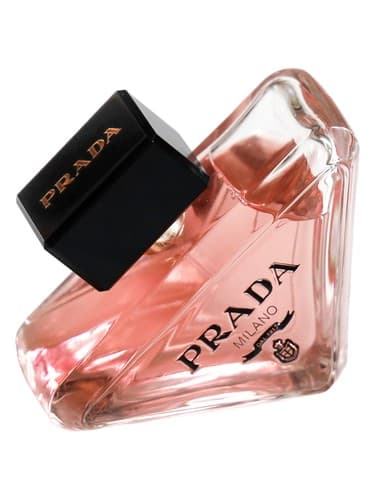 Prada Paradoxe