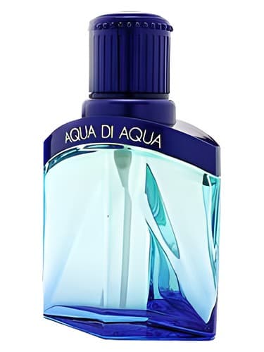 Aqua di Aqua Homme