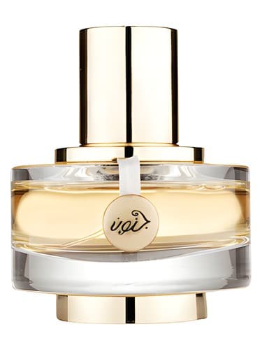 Junoon Satin for Woman