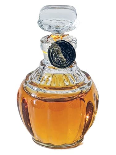 Индийский сандал (Indian Sandal)