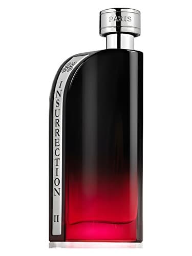 Insurrection II Dark