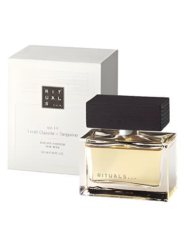 No. 14 Cypress & Fresh Tangerine