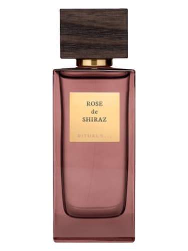 Rose de Shiraz