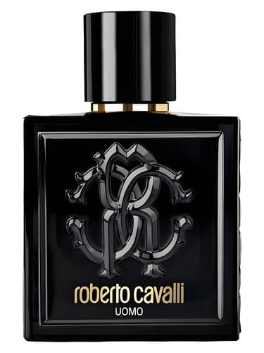Roberto Cavalli Uomo