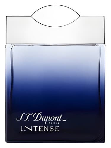 S.T. Dupont Intense Pour Homme