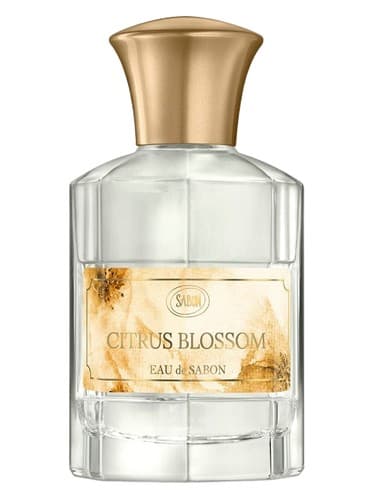 Citrus Blossom