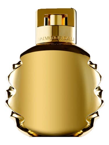 Fabulous 4-Salvador for Men