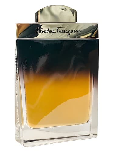Salvatore Ferragamo Ferragamo Oud