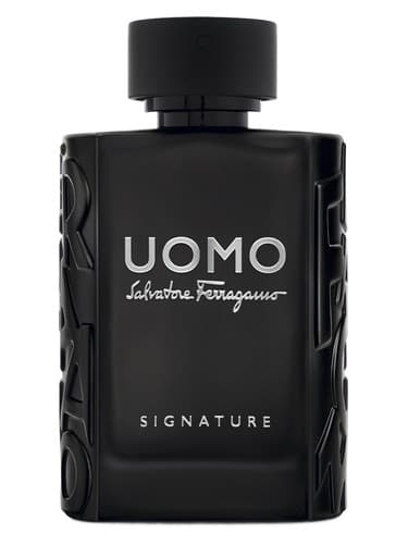 Uomo Salvatore Ferragamo Signature