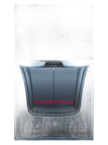 Orchidee Rouge
