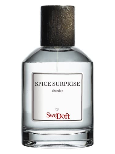 Spice Surprise