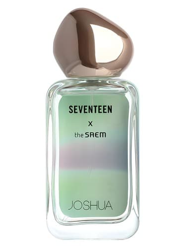 Seventeen X Joshua